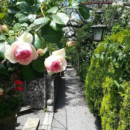 Residenza Dei Ricci Bed & Breakfast Chiusi